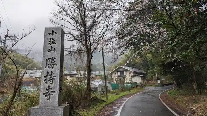 勝持寺(花の寺)(京都府)