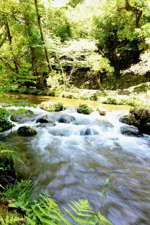 賀茂別雷神社(上賀茂神社)(京都府)