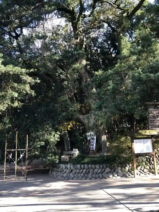 白羽神社の自然