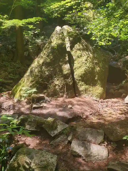 名草厳島神社の自然
