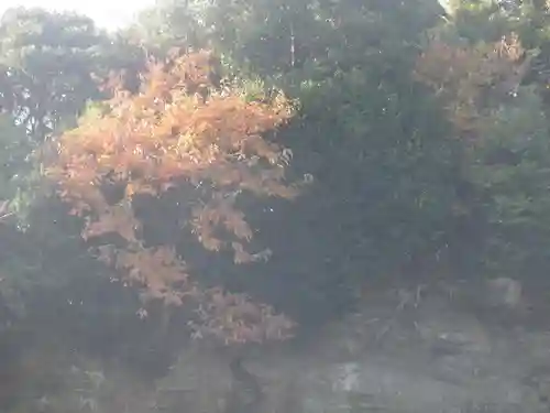 浄光明寺の自然