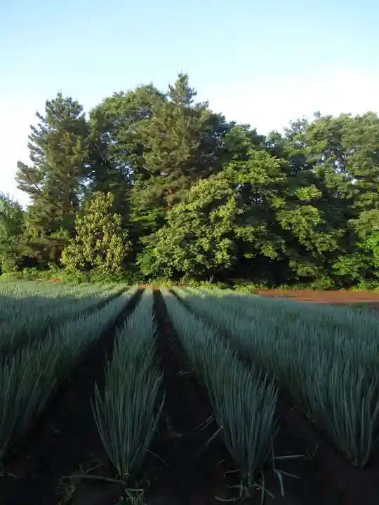 尾崎天神宮(千葉県)