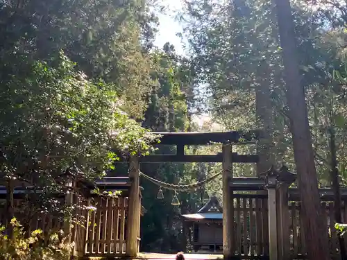 武蔵二宮 金鑚神社(埼玉県)