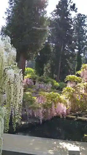 歌泉堂（春日大社神苑萬葉植物園内鎮座）(奈良県)