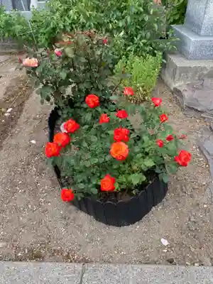 宝光寺(北海道)