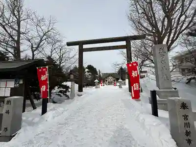 烈々布神社の初詣