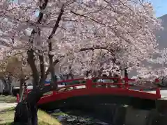 山口八幡社の自然