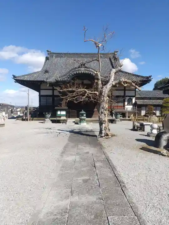 東光寺(栃木県)