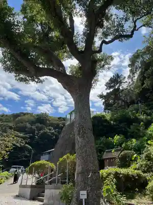 走水神社(神奈川県)