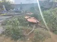 極楽寺(大阪府)