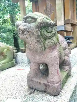 石立八幡宮の狛犬