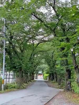千ケ瀬神社(東京都)