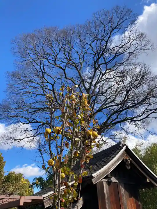 善福寺(兵庫県)