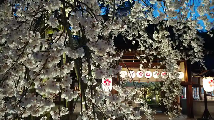 平野神社の自然