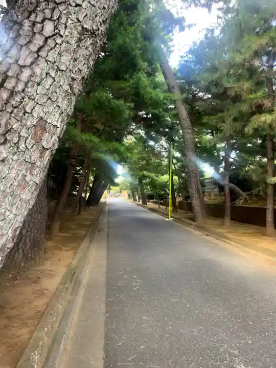 豪徳寺(東京都)