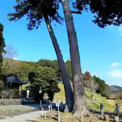 車神社の自然