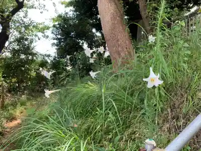 神明神社の自然