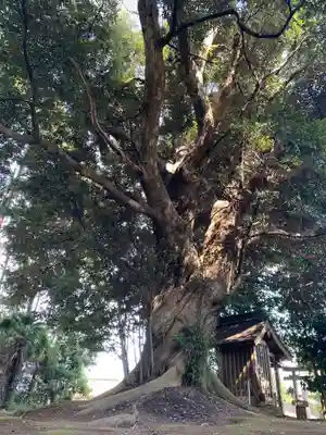 秀起霊神(千葉県)