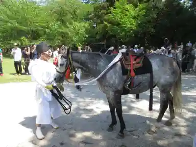 賀茂別雷神社（上賀茂神社）のお祭り