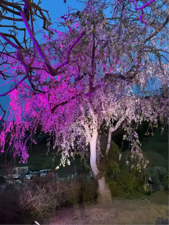 金蛇水神社(宮城県)