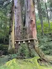 御岩神社の自然