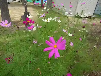 三里塚神社の自然