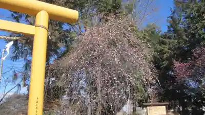 水海道天満宮(茨城県)