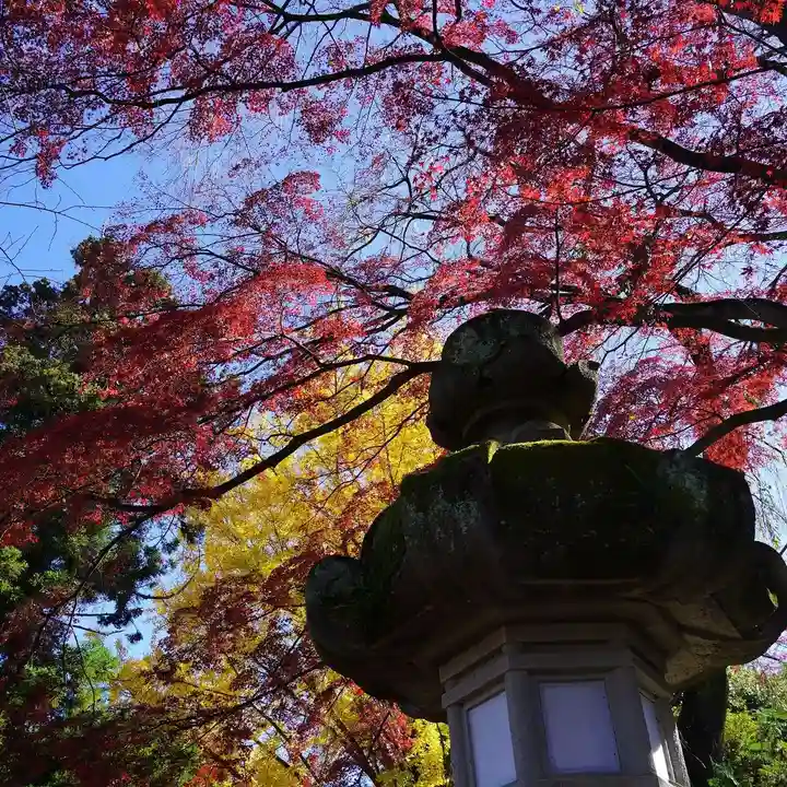 神炊館神社 ⁂奥州須賀川総鎮守⁂の景色