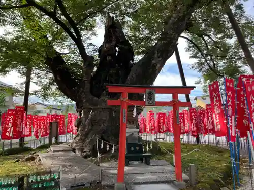 秩父今宮神社(埼玉県)