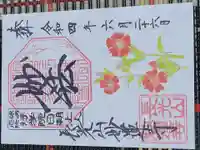 妙蓮寺の御朱印