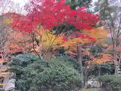 鷲峰寺(香川県)