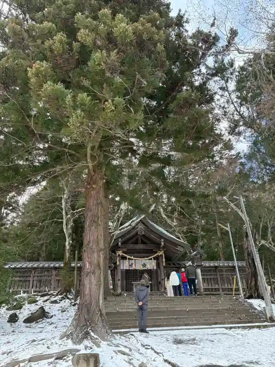 諏訪大社上社前宮の{uncategorized: "未分類", other: "その他", undefined: "問題あり", building: "その他建物", grave: "お墓", sacred_gate: "鳥居", guardian: "狛犬", statue: "像", buddha: "仏像", history: "歴史", nature: "自然", garden: "庭園", animal: "動物", pagoda: "塔", temizu: "手水舎", mountain_gate: "山門・神門", sanctuary: "本殿・本堂", subordinate: "末社・摂社", art: "芸術", scenery: "景色", jizo: "地蔵", ema: "絵馬", goshuin: "御朱印", omikuji: "おみくじ", items: "授与品その他", amulet: "お守り", goshuincho: "御朱印帳", eats: "食事", festival: "お祭り", votive_dance: "神楽", shichigosan: "七五三参", wedding: "結婚式", experience: "体験その他", initially: "初詣", around: "周辺", anti_infection: "感染症対策"}