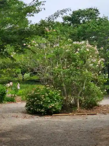 尾曳稲荷神社の庭園