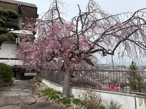 不動寺(大阪府)
