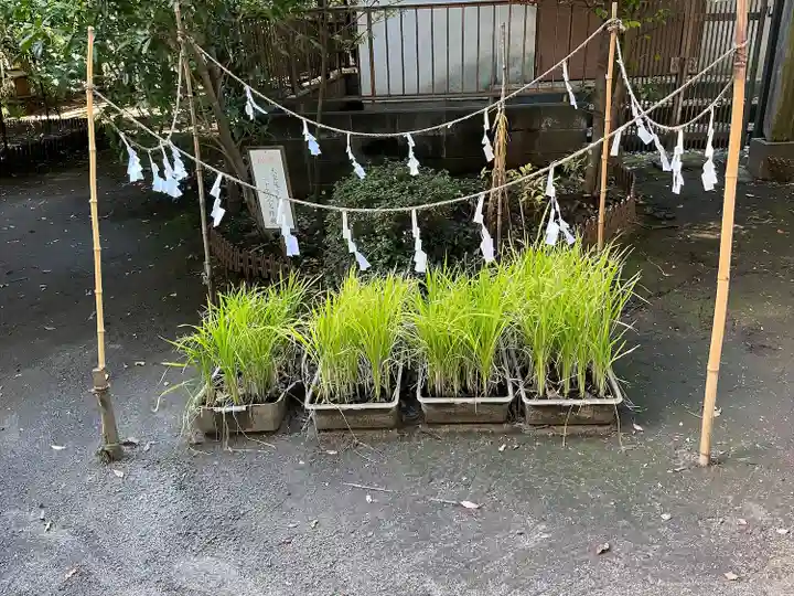 氷川女體神社(埼玉県)