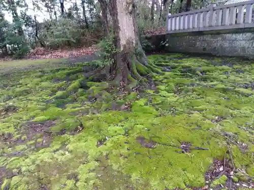 八日市普活廼神社(福井県)