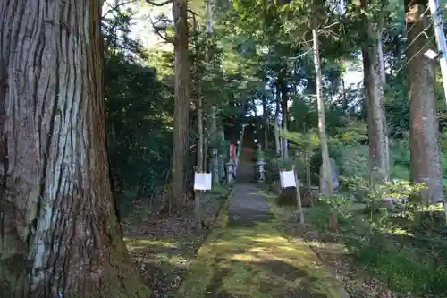 王宮伊豆神社の景色