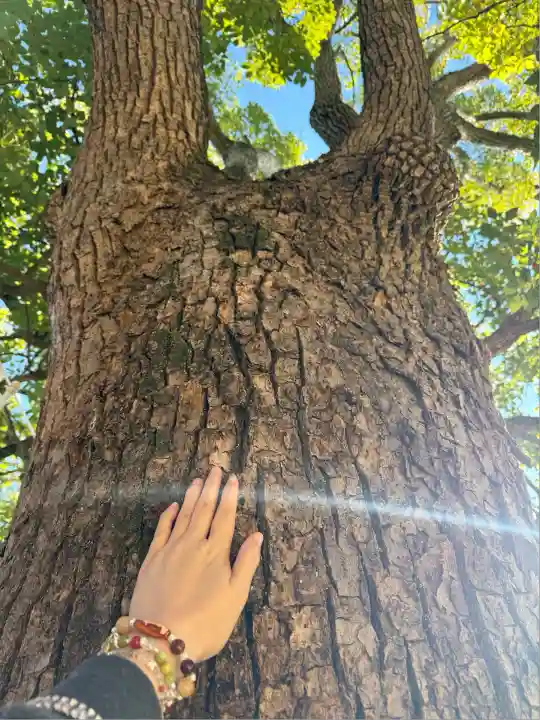 神戸水天宮(兵庫県)