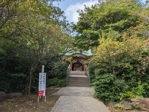 芝東照宮の御朱印