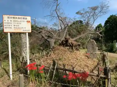 船塚神社のその他建物