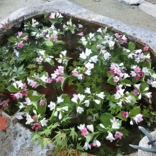 立志神社の手水舎