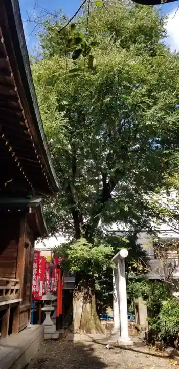 櫻木神社のその他建物
