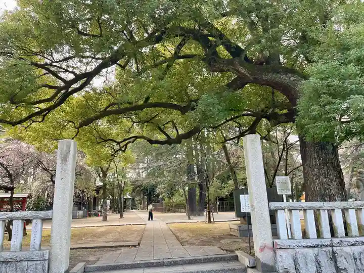 川口神社(埼玉県)