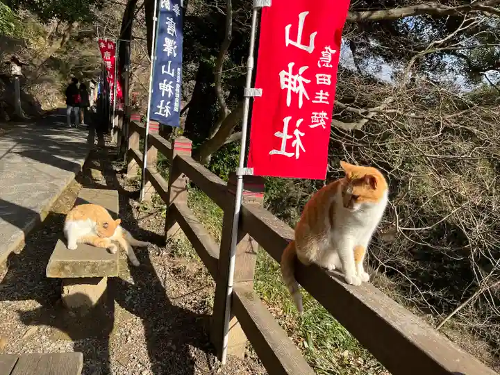 唐澤山神社(栃木県)