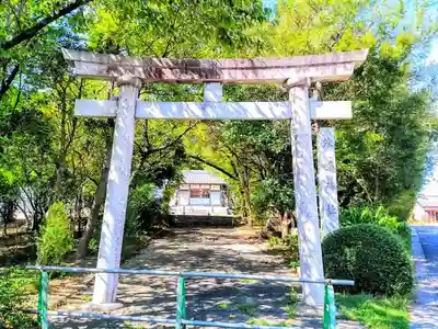 津島社（乙川津島神社）の鳥居