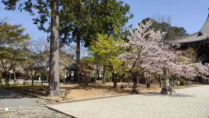真正極楽寺(真如堂)のその他建物