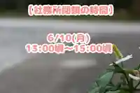 くまくま神社(導きの社 熊野町熊野神社)(東京都)