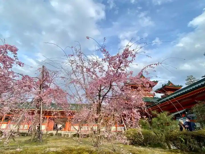 平安神宮の自然