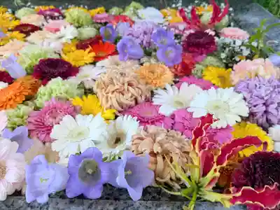 金蛇水神社(宮城県)