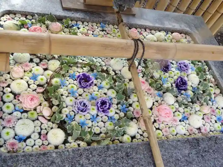 高円寺氷川神社の手水舎